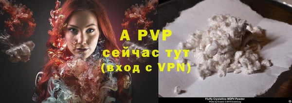 стаф Магадан