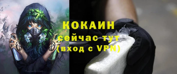 стаф Магадан