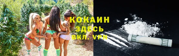 стаф Магадан