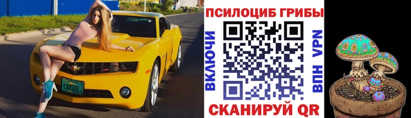 Купить закладки  Палласовка  Псилоцибиновые грибы мицелий 